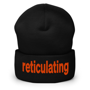 Reticulating Beanie