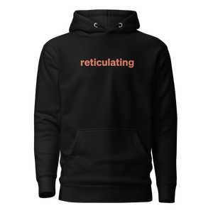 Reticulating Pullover Hoodie