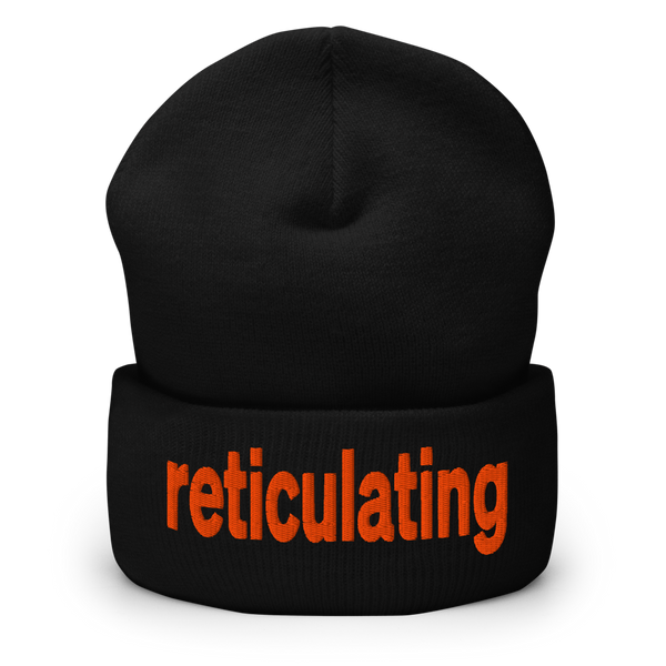 Reticulating Beanie - Black