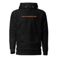 You're Absolutely Right Pullover Hoodie